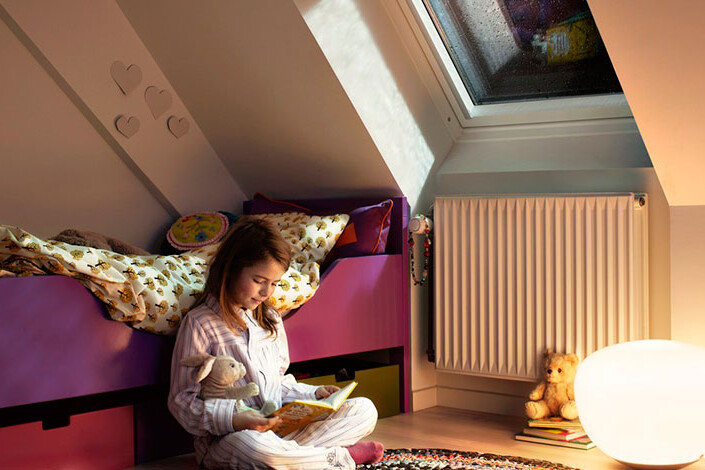 Finestra Velux acustica